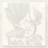 中立貝および珊瑚のコレクション ガラスコースター (裏面)