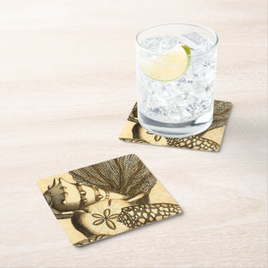 中立貝および珊瑚のコレクション スクエアペーパーコースター (インサイチュ)