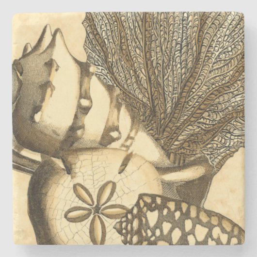 中立貝および珊瑚のコレクション ストーンコースター (正面)