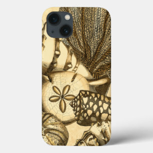 中立貝および珊瑚のコレクション iPhone 13ケース