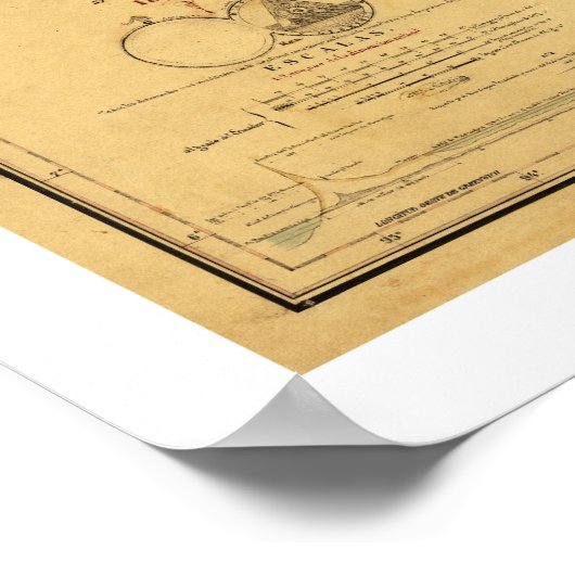 中米地図1862 ポスター (角)