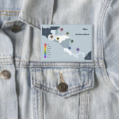 中米地図 缶バッジ (インサイチュ)