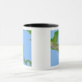 中米地形図 マグカップ (中央)