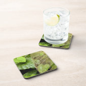 中米、コスタリカ、サラピキ、ブラウリオ コースター (右側)