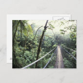 中米、コスタリカ、モンテベルデクラウド ポストカード (正面/裏面)