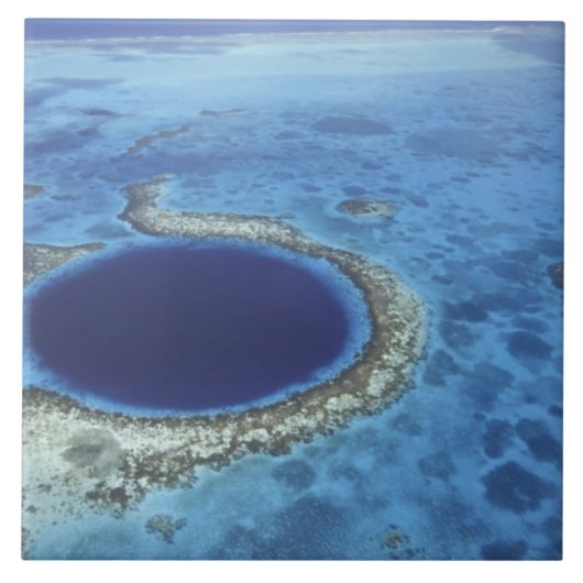 中米、ベリーズ、大型サンゴ礁 タイル (正面)