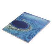 中米、ベリーズ、大型サンゴ礁 タイル (側面)