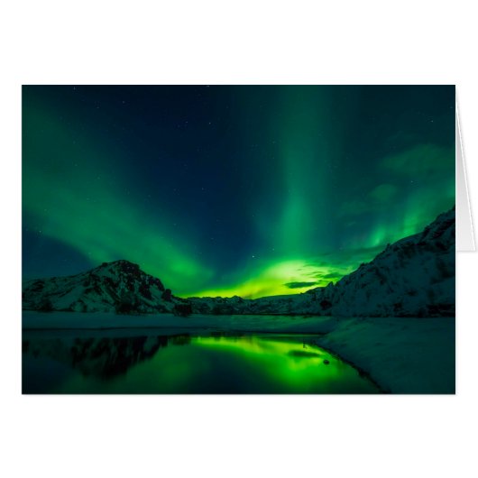 中素晴らしに緑のオーロ空白のラ (正面横)