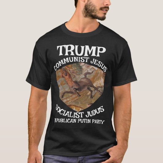中絶 FW FV HG 医療 医療費 Tシャツ (正面)