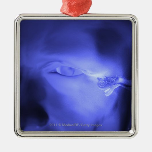 中耳の正面図 メタルオーナメント (正面)