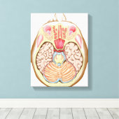 中脳横断面 キャンバスプリント (インサイチュ (ウッドフロア))