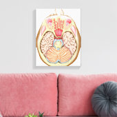 中脳横断面 キャンバスプリント (インサイチュ (リビング))