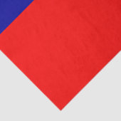 中華民国（台湾） / チャイニーズ・タイペイ 薄葉紙 (詳細)