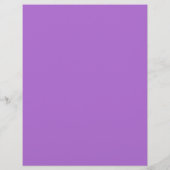 中蘭フライヤー チラシ (裏面)