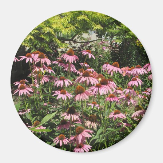 中西部かわいらしのフォトマグネットのピンク色の花 マグネット (正面)