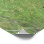 中西部の牛が野原で放牧するポスター ポスター (角)