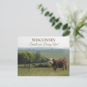 中西部写真 |美しい牛と景色 ポストカード (スタンド正面)