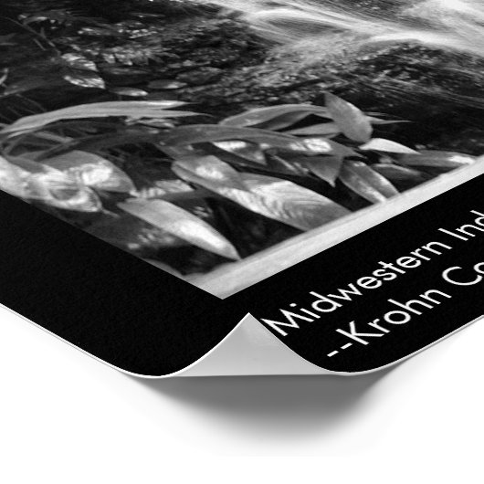 中西部熱帯雨林 ポスター (角)