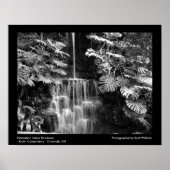 中西部熱帯雨林 ポスター (正面)