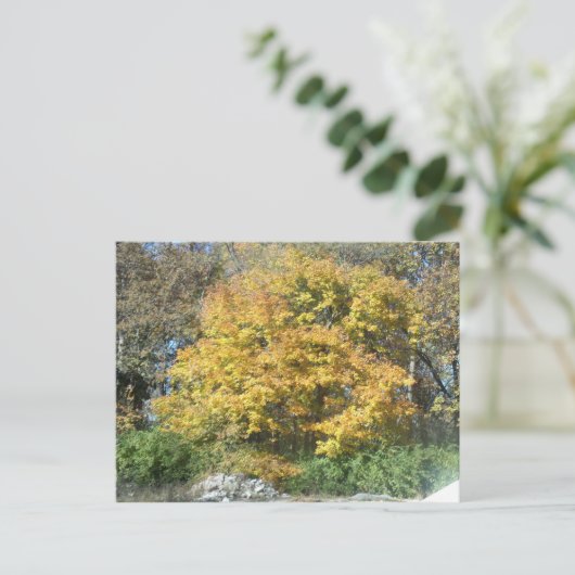 中西部秋 ポストカード (スタンド正面)