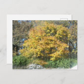 中西部秋 ポストカード (正面/裏面)