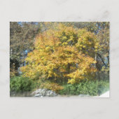 中西部秋 ポストカード (正面)
