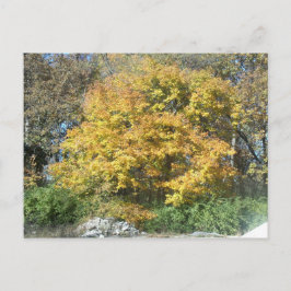 中西部秋 ポストカード