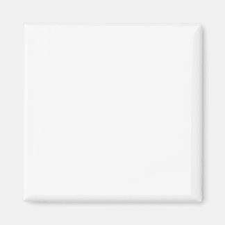 中角磁石 マグネット