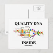 中身は質の高いDNA (DNA複製) ポストカード (正面/裏面)