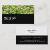 中途半端0110 – 青い秋 名刺 (正面/裏面)