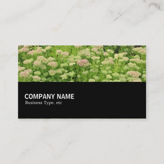 中途半端0110 – 青い秋 名刺 (正面)