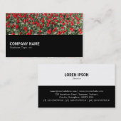 中途半端097 – 赤いチューリップとプリムローズ 名刺 (正面/裏面)