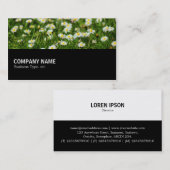 中途半端 – デイジー牧草地 名刺 (正面/裏面)