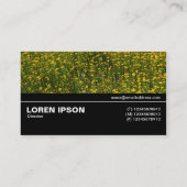中途半端V3 037 – 黄色いデイジーのベッド 名刺 (裏面)