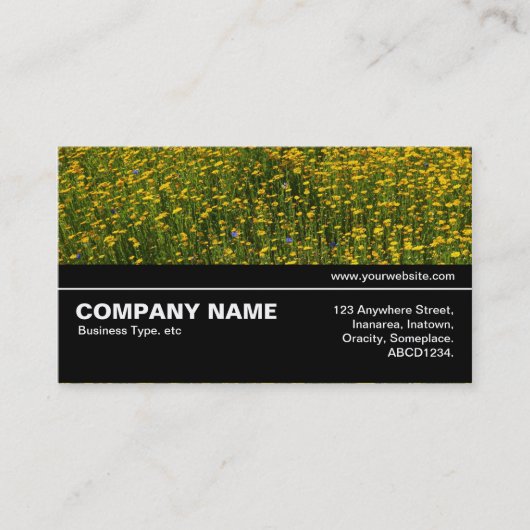 中途半端V3 037 – 黄色いデイジーのベッド 名刺 (正面)