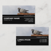 中途半端V3 041 – グッドモーニングハト 名刺 (正面/裏面)