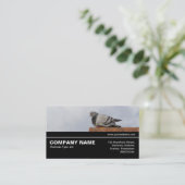 中途半端V3 041 – グッドモーニングハト 名刺 (スタンド正面)