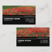 中途半端V3 044 – 赤チューリップ02 名刺 (正面/裏面)