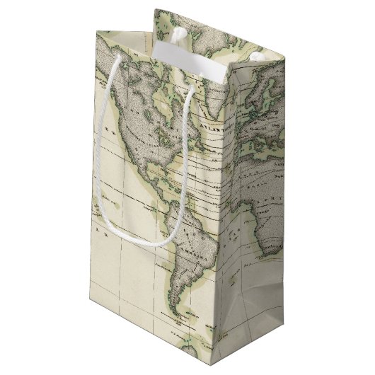 中間のバロメーター スモールペーパーバッグ (裏面アングル)