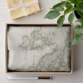 中間のバロメーター 薄葉紙 (ギフト)