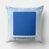 中間スキーヤーブルースクエアトレイル標識 クッション (正面)