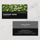 中間地点V2 -デイジー草原 名刺 (正面/裏面)