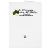 中間抜けにゴールデントリバー空白のの写真 (裏面)