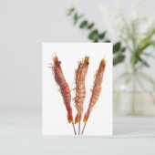 串焼きタイガー ポストカード (スタンド正面)