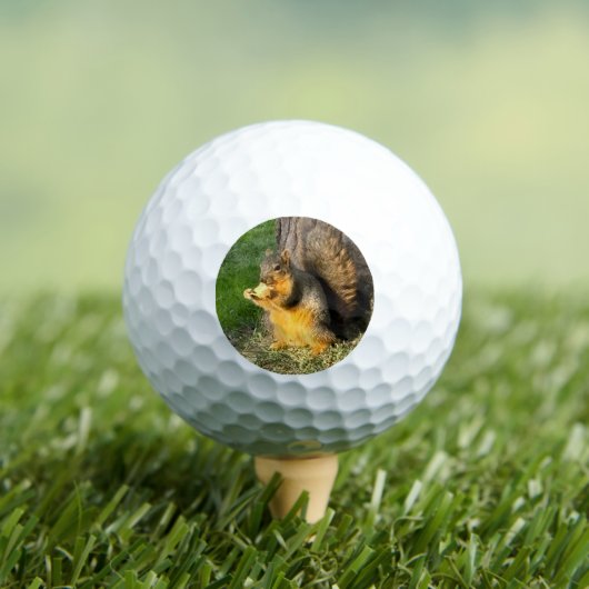 丸々としたリス、ゴルフボール ゴルフボール (インサイチュ 木)