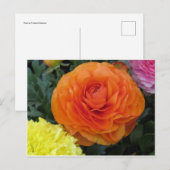 丸いオレンジ色の花 ポストカード (正面/裏面)