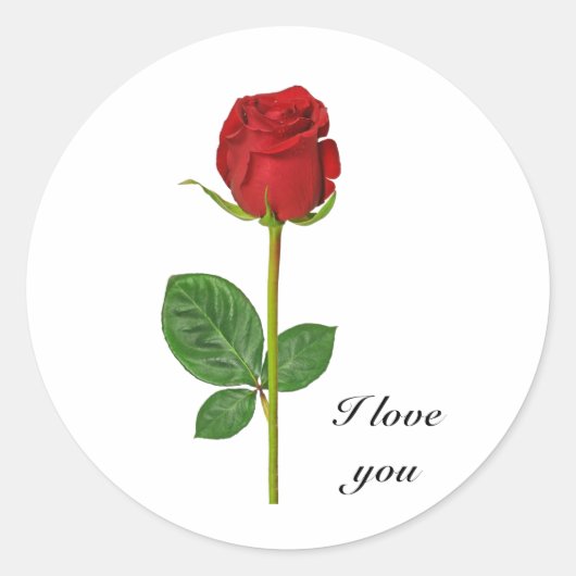 丸いシールとバラ ラウンドシール (正面)