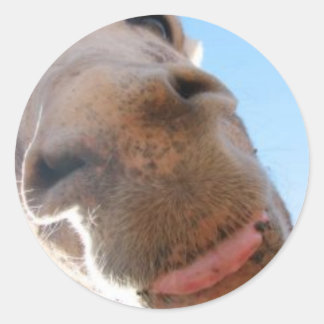 丸いステッカー-スパイク ラウンドシール