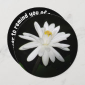 丸いパーソナライズされた白い水ゆりフローラカード シーズンカード (正面/裏面)