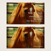 丸いペンでサレル (正面&裏面)